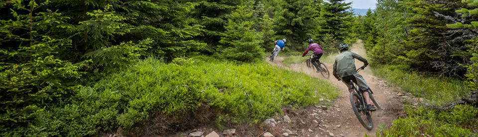 Kinder haben Spass auf der Outdoor Klassenfahrt auf dem Rabenberg