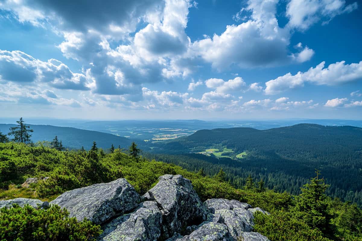 Harz als beliebte Reiseregion für eine Klassenfahrt