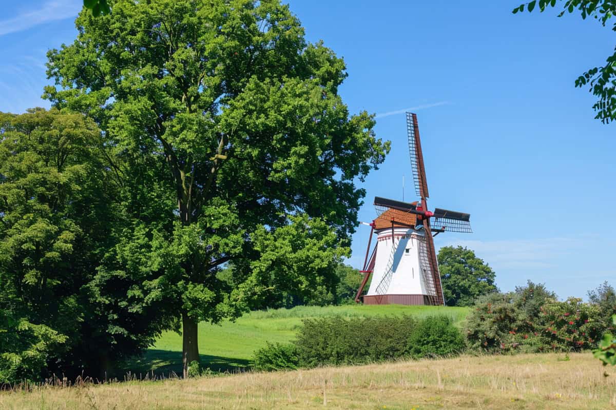 Klassenfahrt nach Niedersachsen