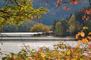 Natur erleben in der Eifel