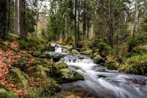 Ein Bach fließt durch den Harz