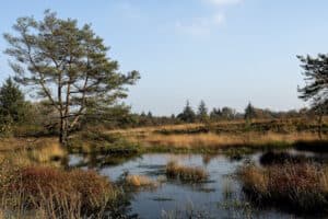 Klassenfahrten Lüneburger Heide