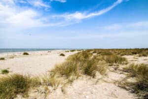 Die Dühnenlandschaft der Ostsee