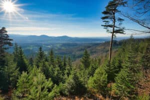 Der Schwarzwald bei Sonnenschein von oben