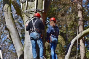 Schüler im Kletterpark