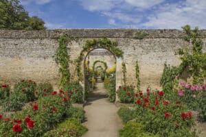 Burgmauern in der Normandie mit Blumen